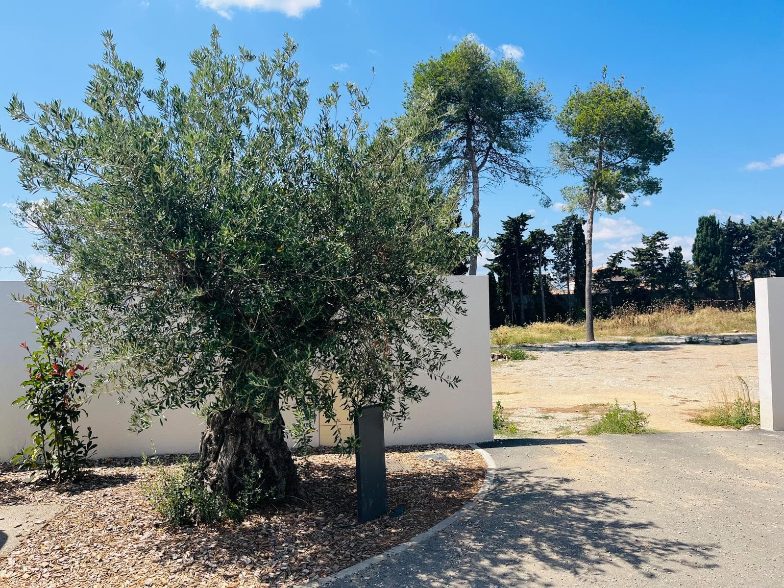 Perpignan — Situé dans un environnement paisible, ce programme immobilier neuf propose des maisons individuelles... - photo 2