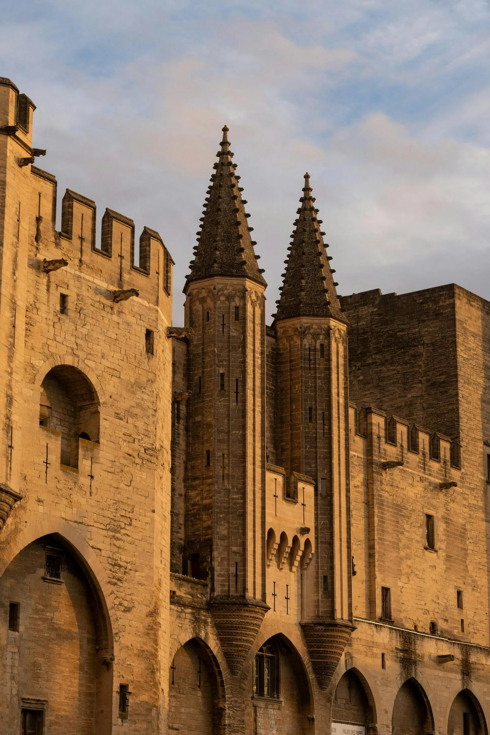 Vue panoramique d'Avignon avec le Palais des Papes et le pont Saint-Bénézet