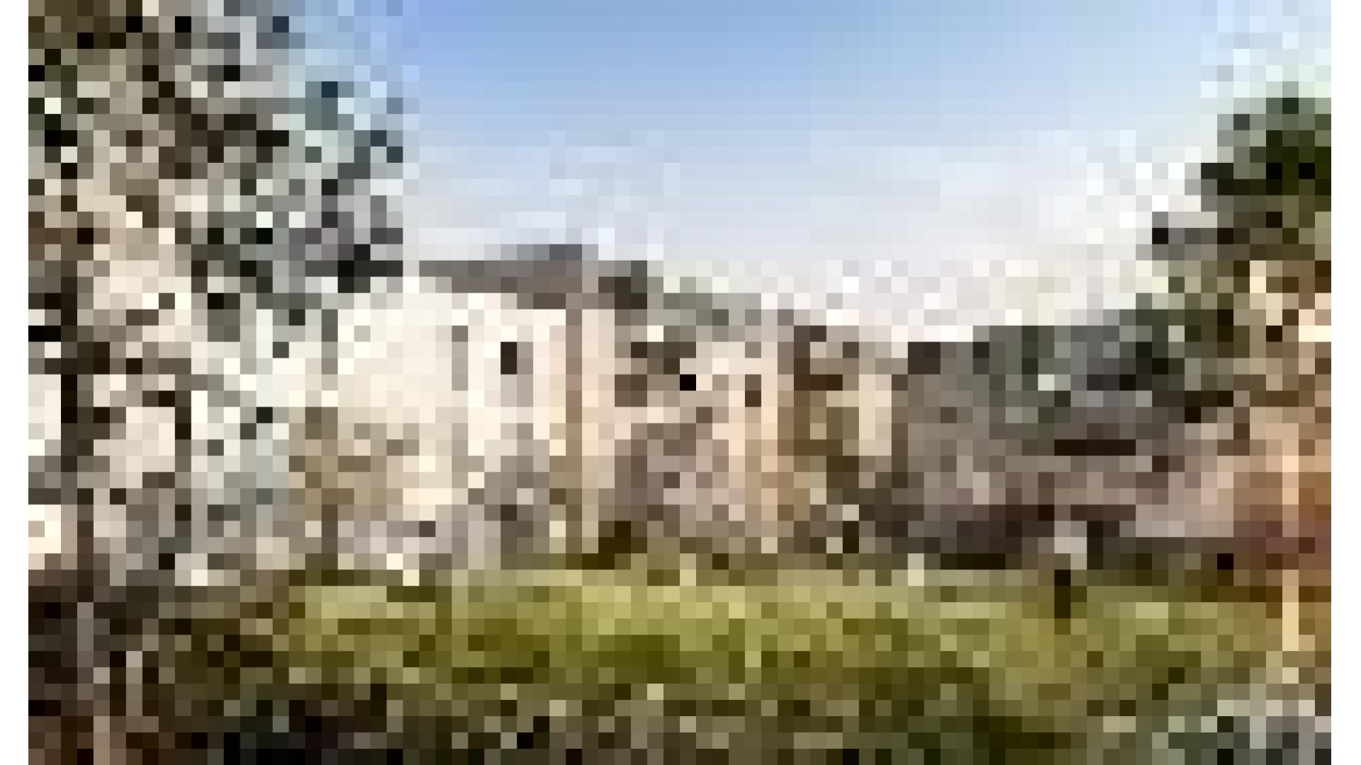 Saran — Programme neuf - photo 3