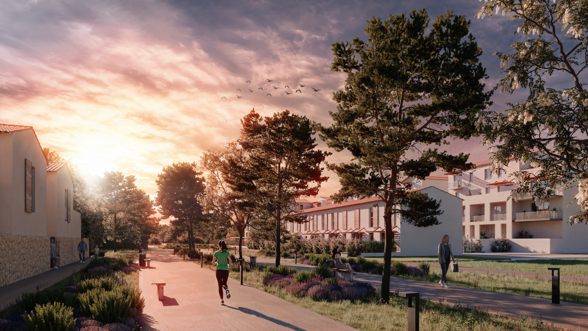 Chateaurenard — Programme neuf - photo 4