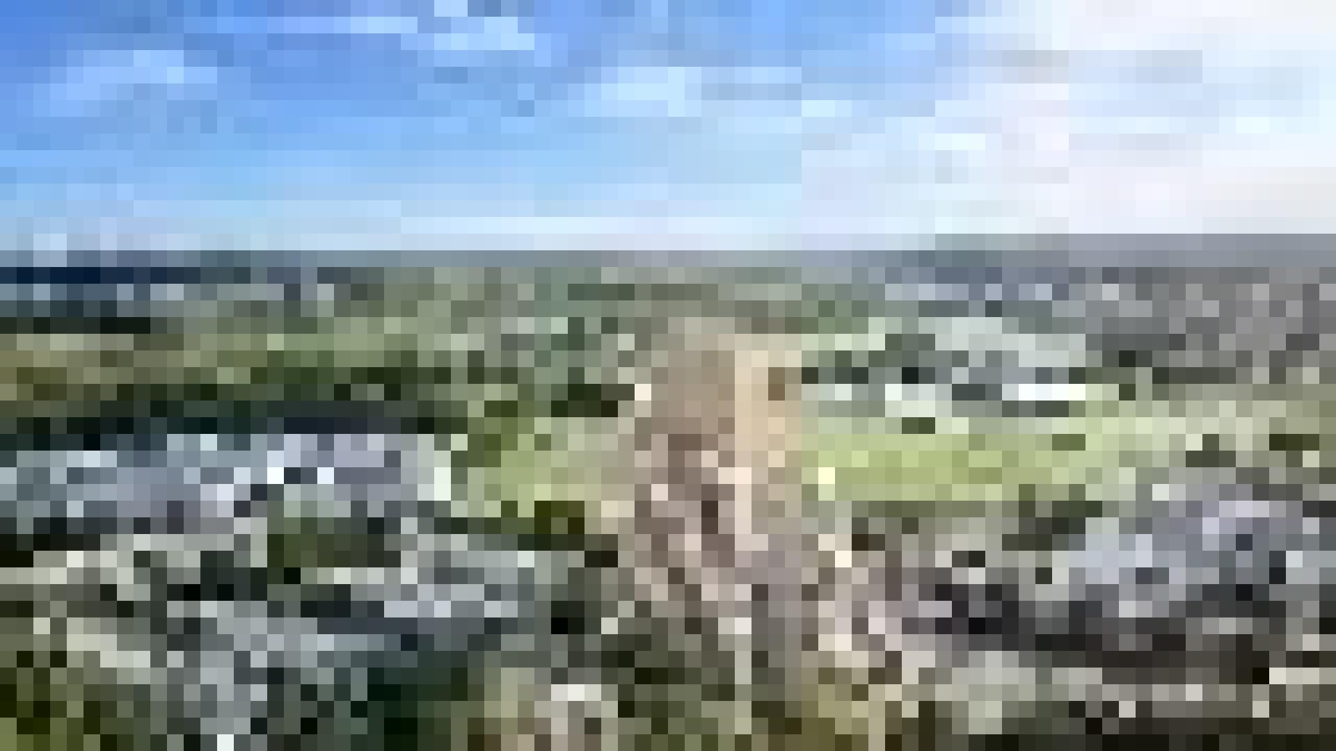 Vigneux-sur-Seine — Située dans le quartier de la Croix-Blanche, cette résidence s’intègre harmonieusement dans son envi... - photo 6